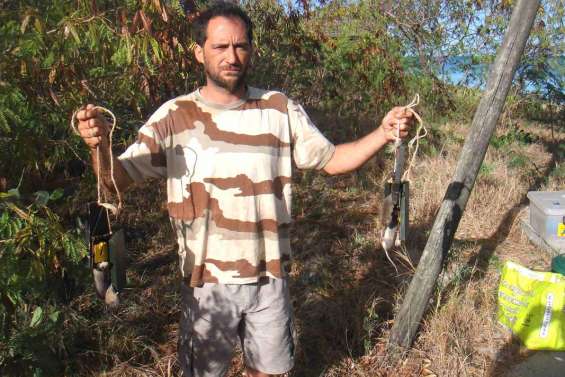 Campagne de dératisation des îlots