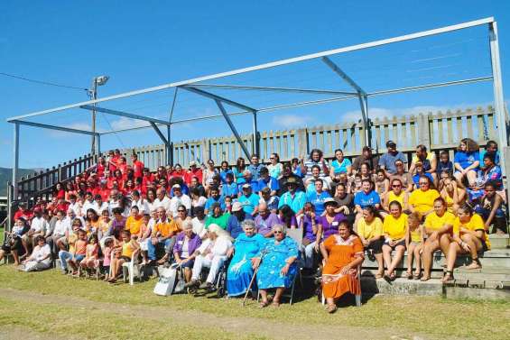 Une cousinade multicolore