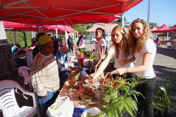 Les Miss en campagne