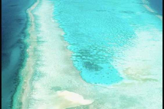 Du sursis pour la Grande Barrière