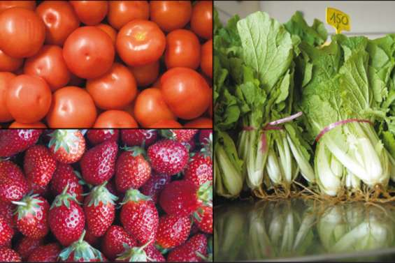 Cocktail explosif de pesticides