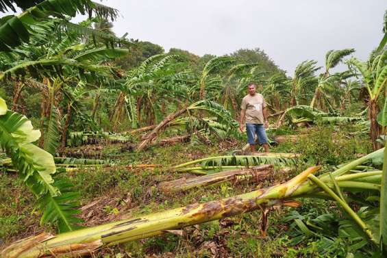 Ouégoa au régime sec