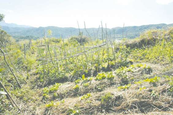 Le bio creuse son sillon