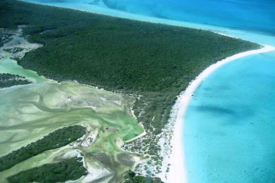 Les chefferies défendent leur patrimoine naturel