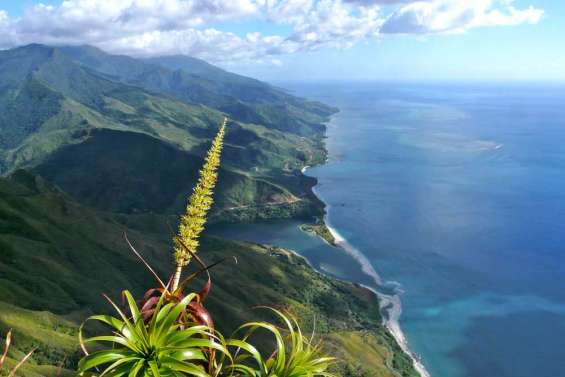 Conserver le cœur du Panié