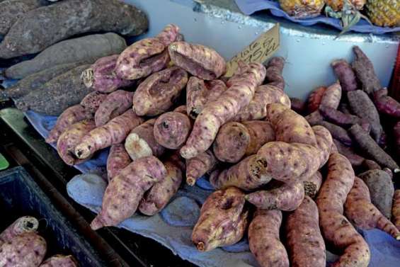 Les exportations de Lifou ont la patate !