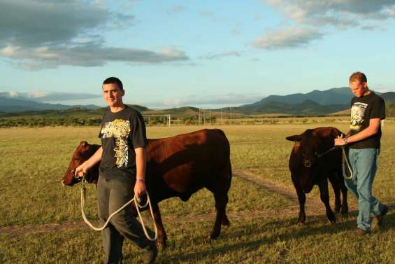 En cours le jour, au paddock le soir