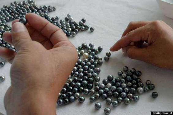 La perle poursuit sa chute