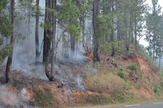 Feu de brousse sur la transversale