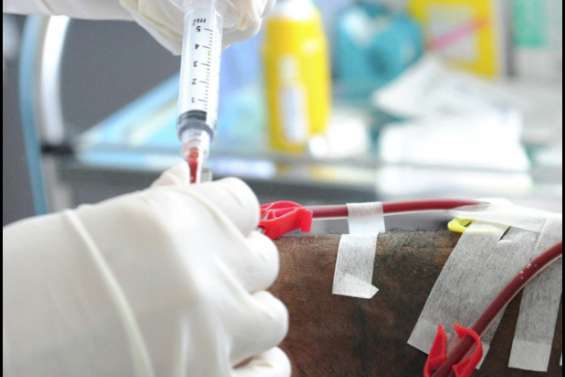 Ce qu'attendent les patients