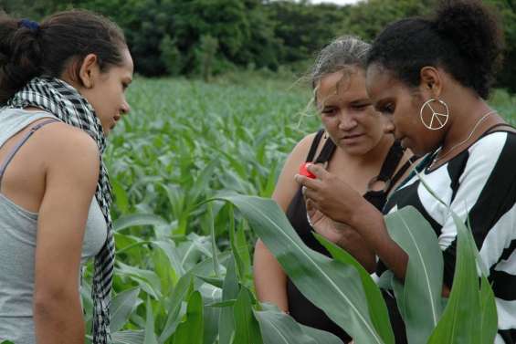 Quelle agriculture demain ?