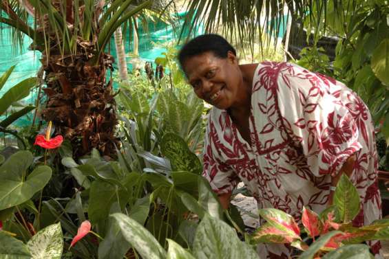 Le Salon de l'or vert