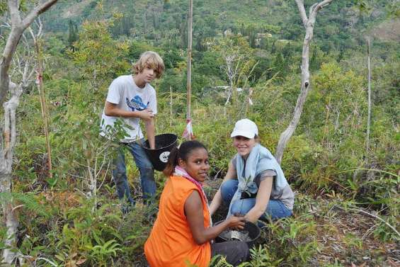 Le bon plant de sauvetage