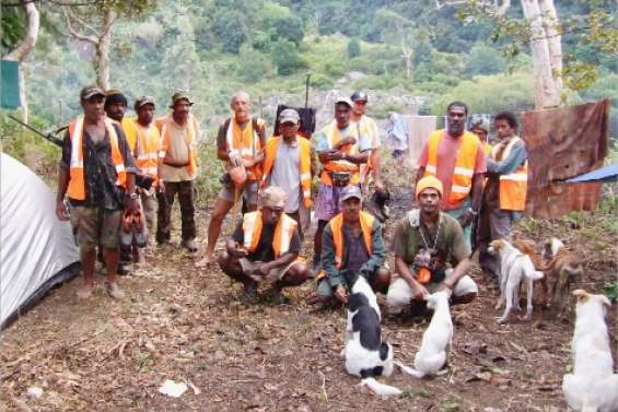 Priorité à la reforestation