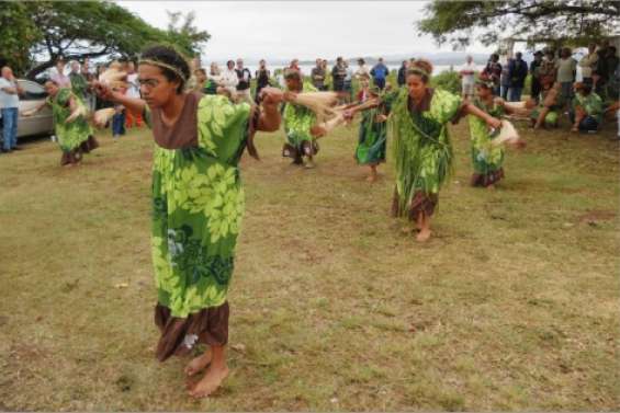Incursion dans la mangrove