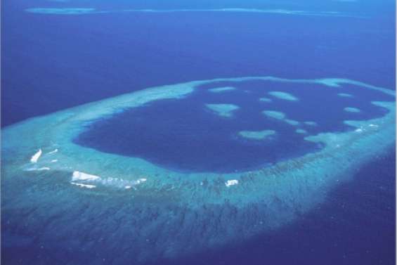 Notre récif est-il en danger ?