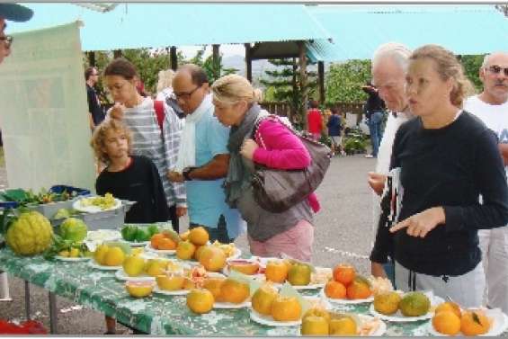La commune fête les agrumes