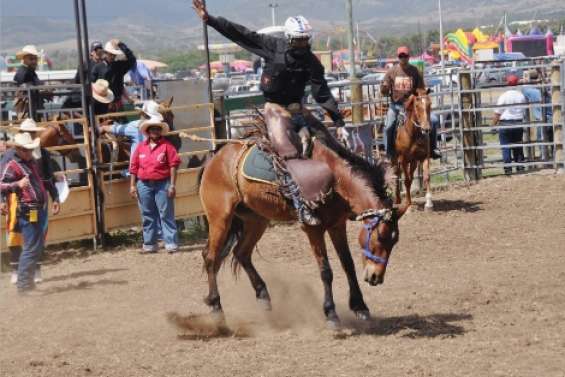 Le rodéo s'invite à la foire