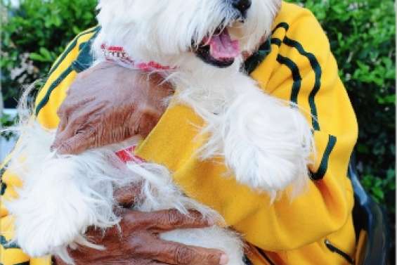 Mon chien est un visiteur