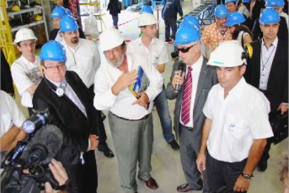 Des Kiwis dans la plaine