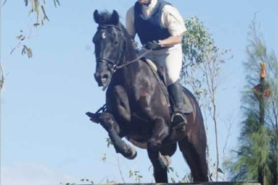 Sandrine Rœsner à domicile