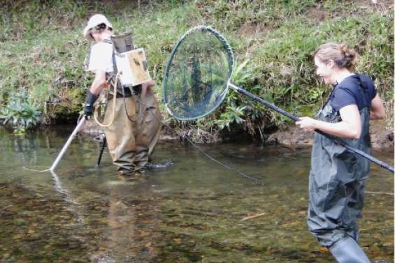 Au courant des poissons