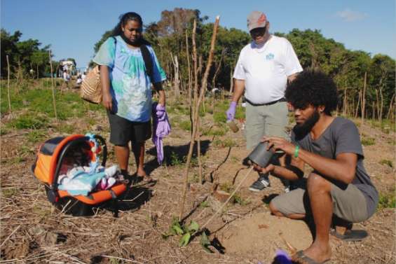 Le bébé qui cache la forêt