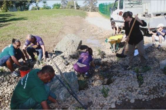 Un panier bien fréquenté