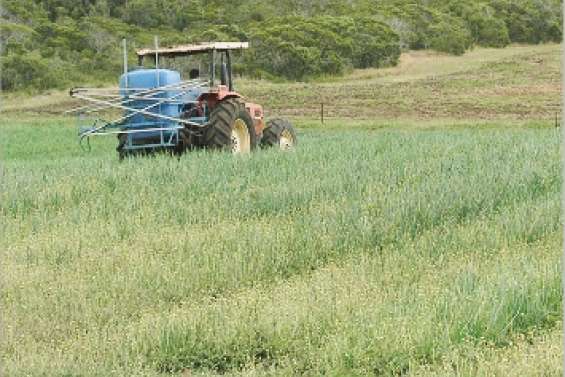 Martin contre les écologistes