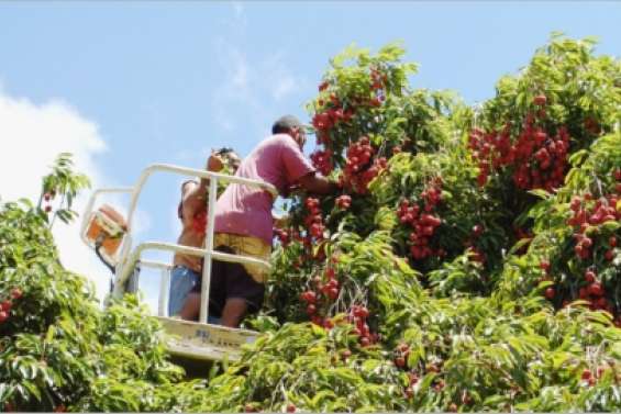 Froid record dans le Nord
