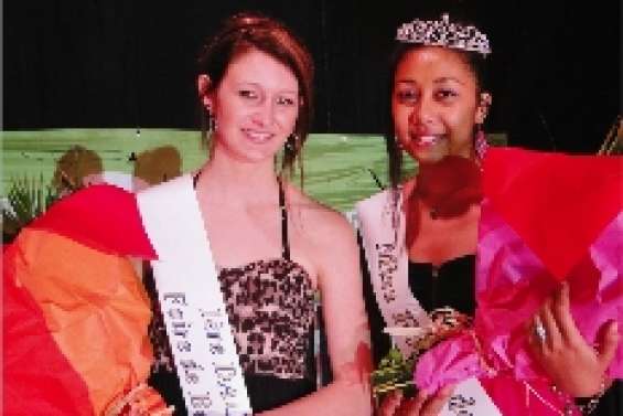 Une jolie fleur  au milieu des vaches