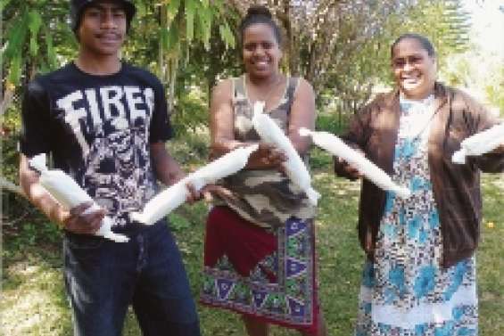 Les sandwiches  mènent à Tanna