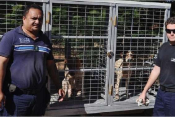 Direction le Grand Nouméa