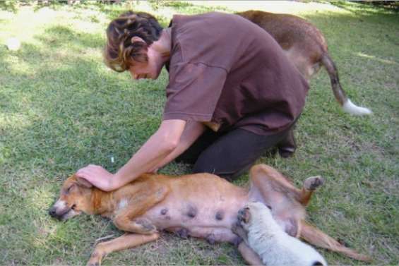 Un fort besoin d'assistance