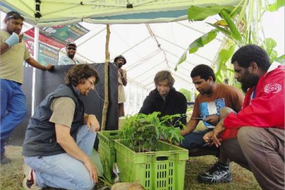 Une fête centrée sur Iaai