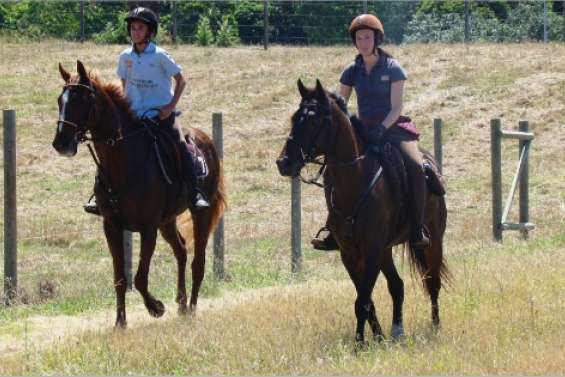 Sur la même longueur