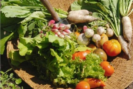 Un autre circuit de distribution