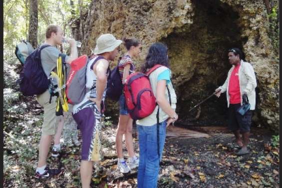 Perruches et sable blanc
