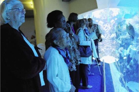 Une journée bleue façon « Grand bleu »