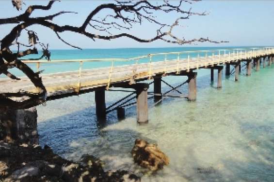 Un nouveau wharf d'ici fin 2014