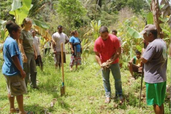 Tiwaka retrouve la banane