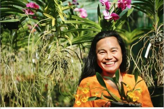 Des fleurs au pays des vaches