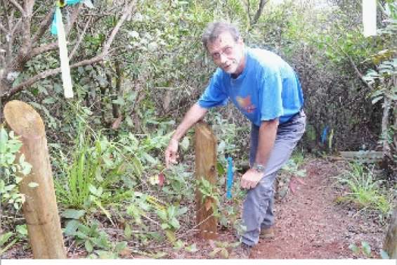 Tiébaghi se met au vert