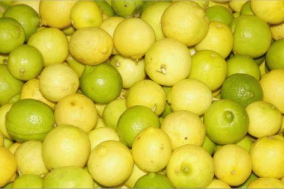 Des citrons à prix d'or