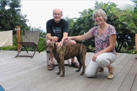 Des vacances plus tranquilles