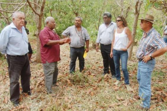 Le Congrès sur le terrain