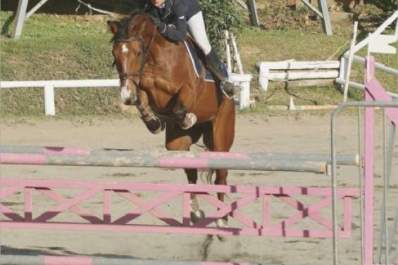 Vérons se montre enfin