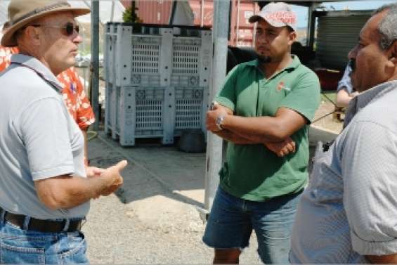 De la mine à la terre