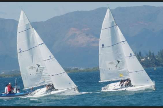 Les Kiwis en toute logique