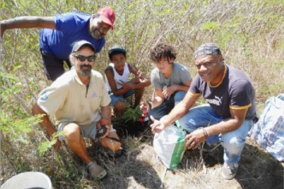 Petite pousse deviendra grande